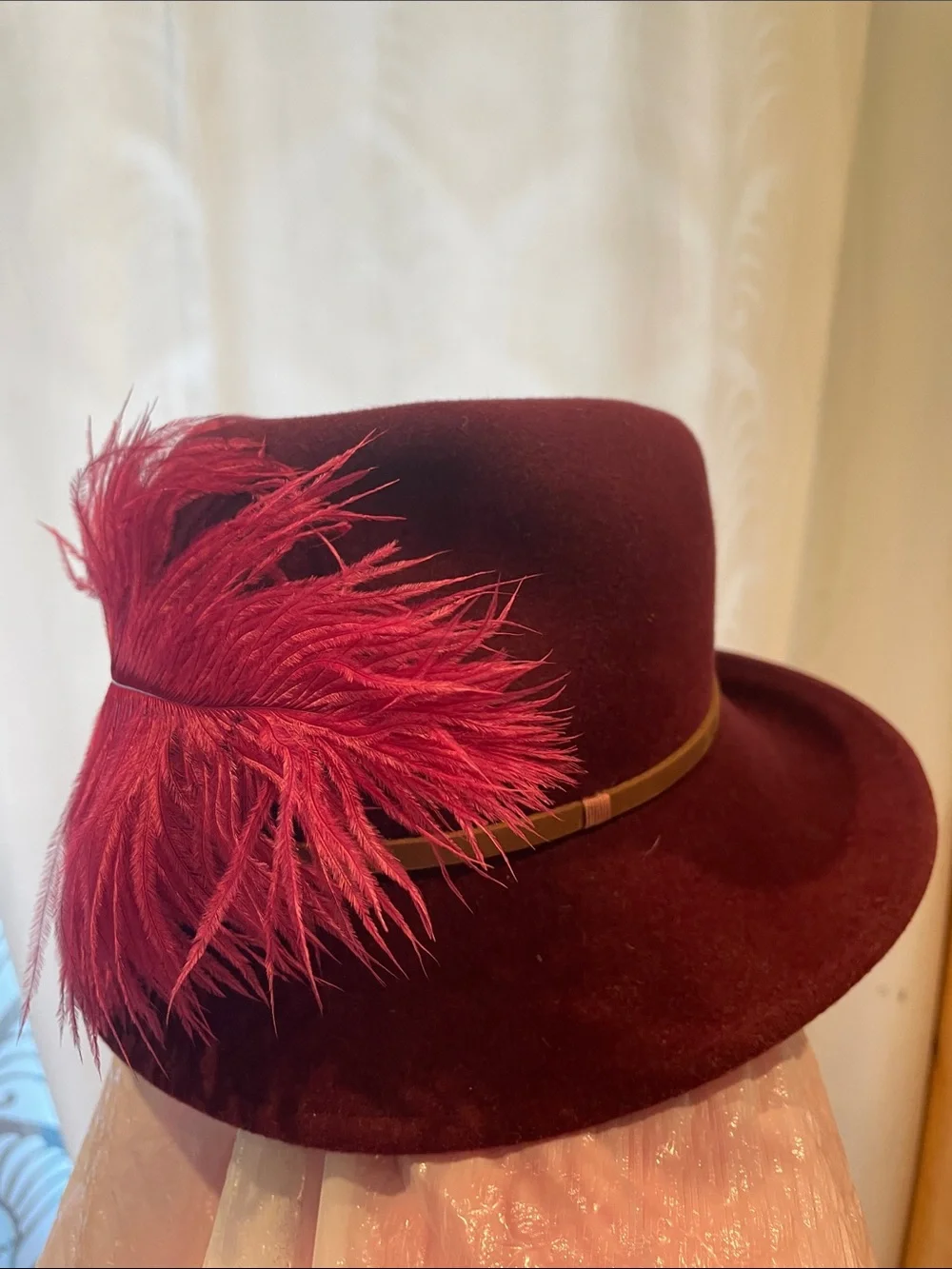 Womens Feather Trim Wool Cloche Hat - Burgundy
